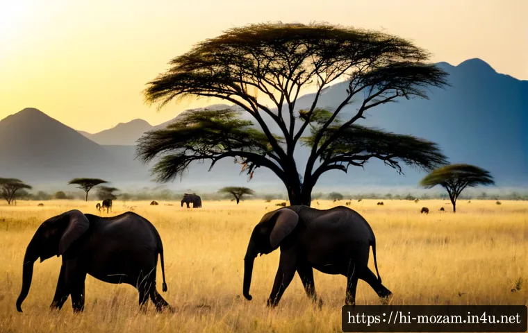 모잠비크 국립공원 - Photorealistic sunrise safari scene in a Mozambique national park, a small herd of African elephants...